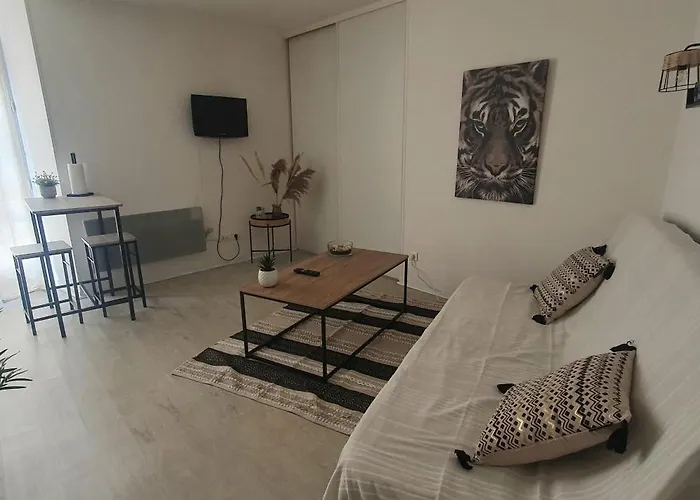 Studio Cosy Au Coeur De Millau