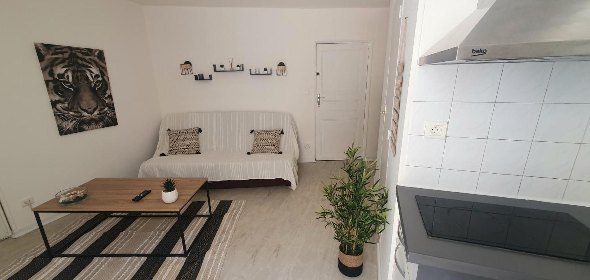 Apartment Cosy Au Coeur De Millau